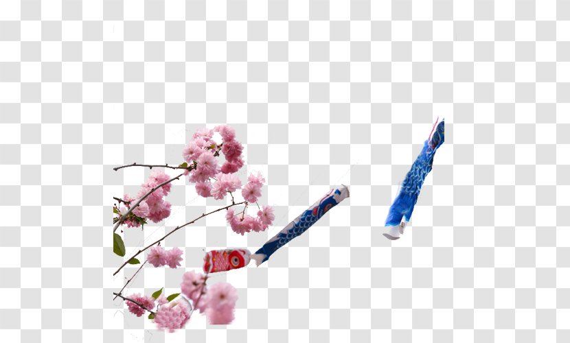 National Cherry Blossom Festival Common Carp - Resource - Sakura And Flag Transparent PNG