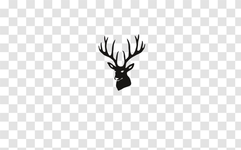 Reindeer Antler Moose Roe Deer - Vertebrate - Bohemian Transparent PNG