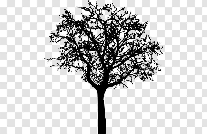 Twig Silhouette - Black And White Transparent PNG