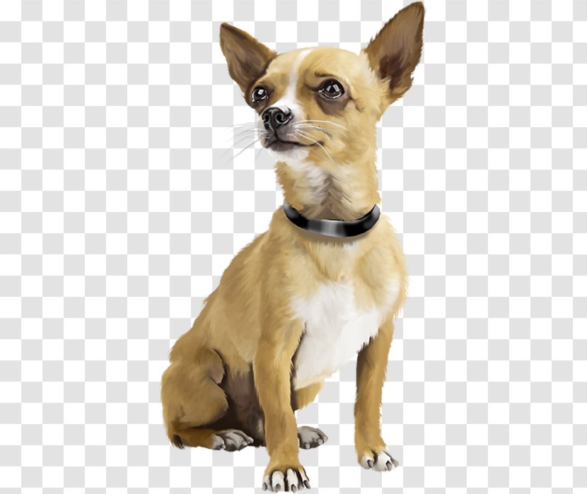 Chihuahua Puppy Dogs Active Miniature Pinscher Bark - Dog Training Transparent PNG