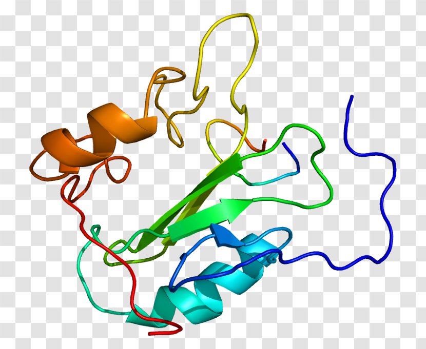 GRB7 Protein Kinase PTK2 Growth Factor - Silhouette - Flower Transparent PNG