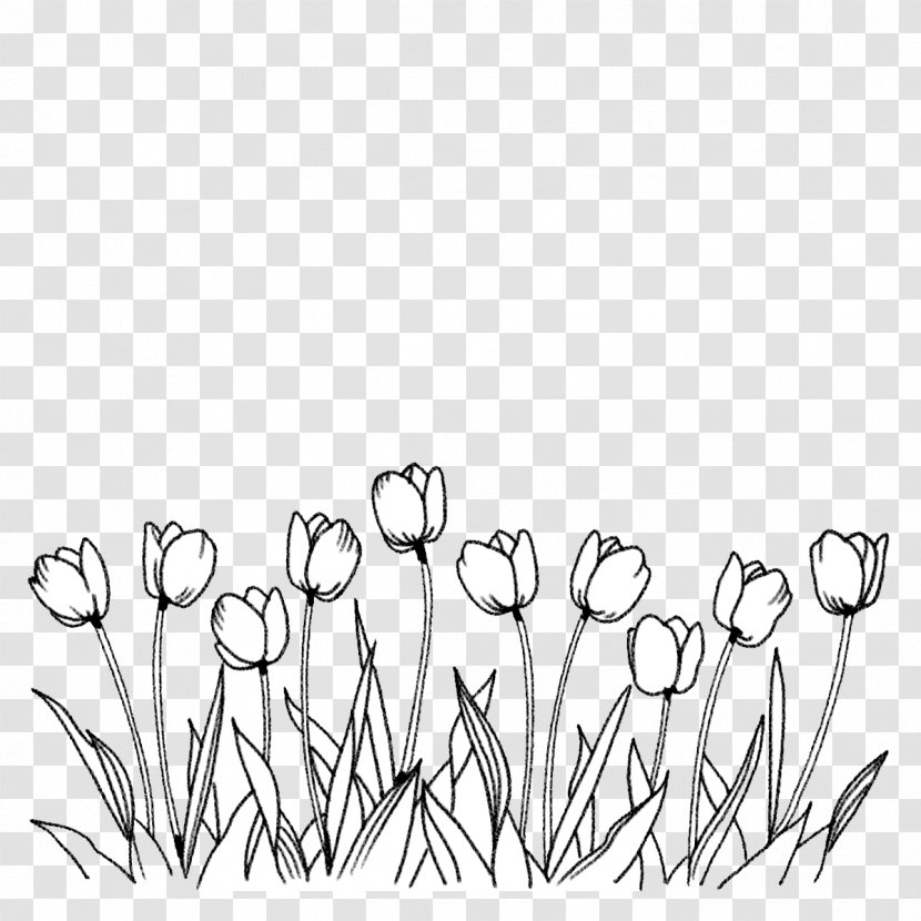 Flower Tulip Coloring Book Line Art Drawing - Plant Stem - Tulips Transparent PNG