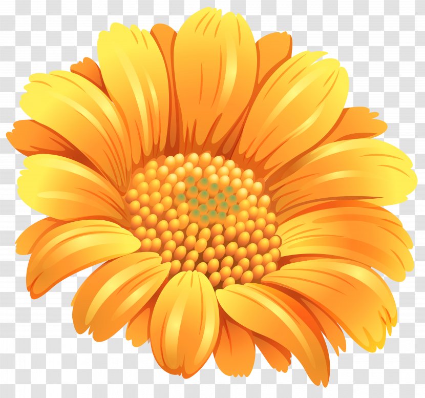 Flower Orange Common Daisy Clip Art - Sunflower Transparent PNG