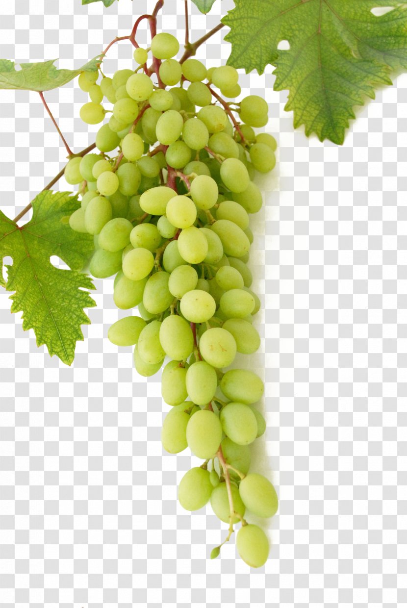 Wine Common Grape Vine Mousse Cream - Fruit - Green Grapes Transparent PNG