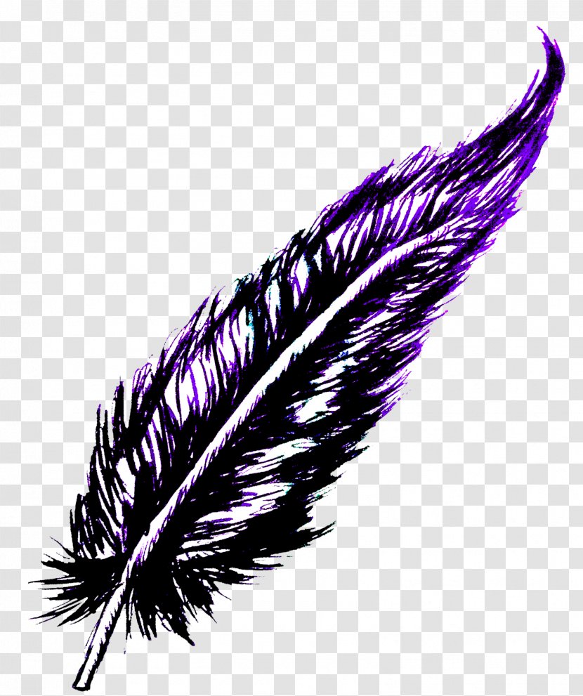 Feather - Violet Transparent PNG