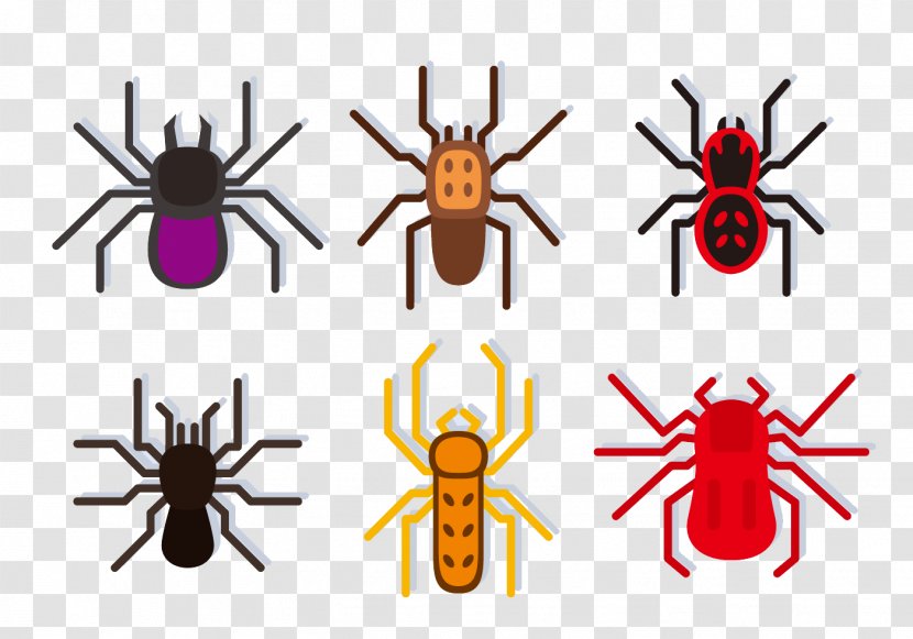 Spider Web Tarantula Poison - Pest - Color Poisonous Transparent PNG