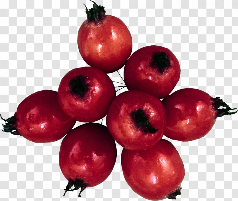 Cranberry Food Auglis - Malpighia Glabra Transparent PNG