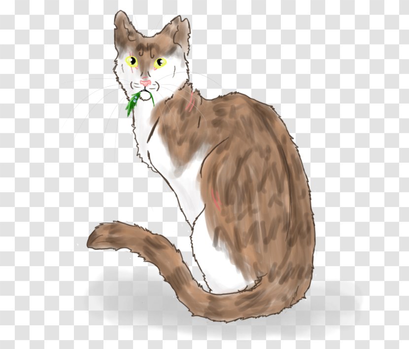 Whiskers Cat Fur Paw Transparent PNG