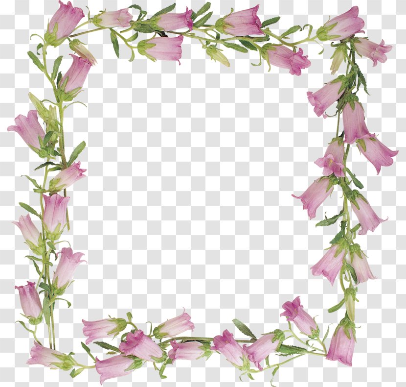 Picture Frame - Petal - Lily Of The Valley Decorative Borders Transparent PNG