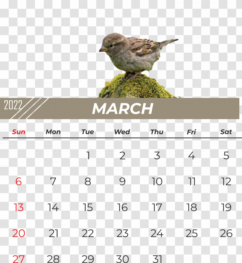 Birds Beak Calendar Font Meter Transparent PNG