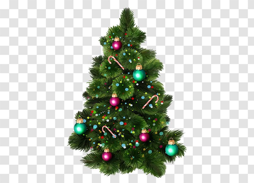 Christmas Tree Brush New Year - Decoration Transparent PNG