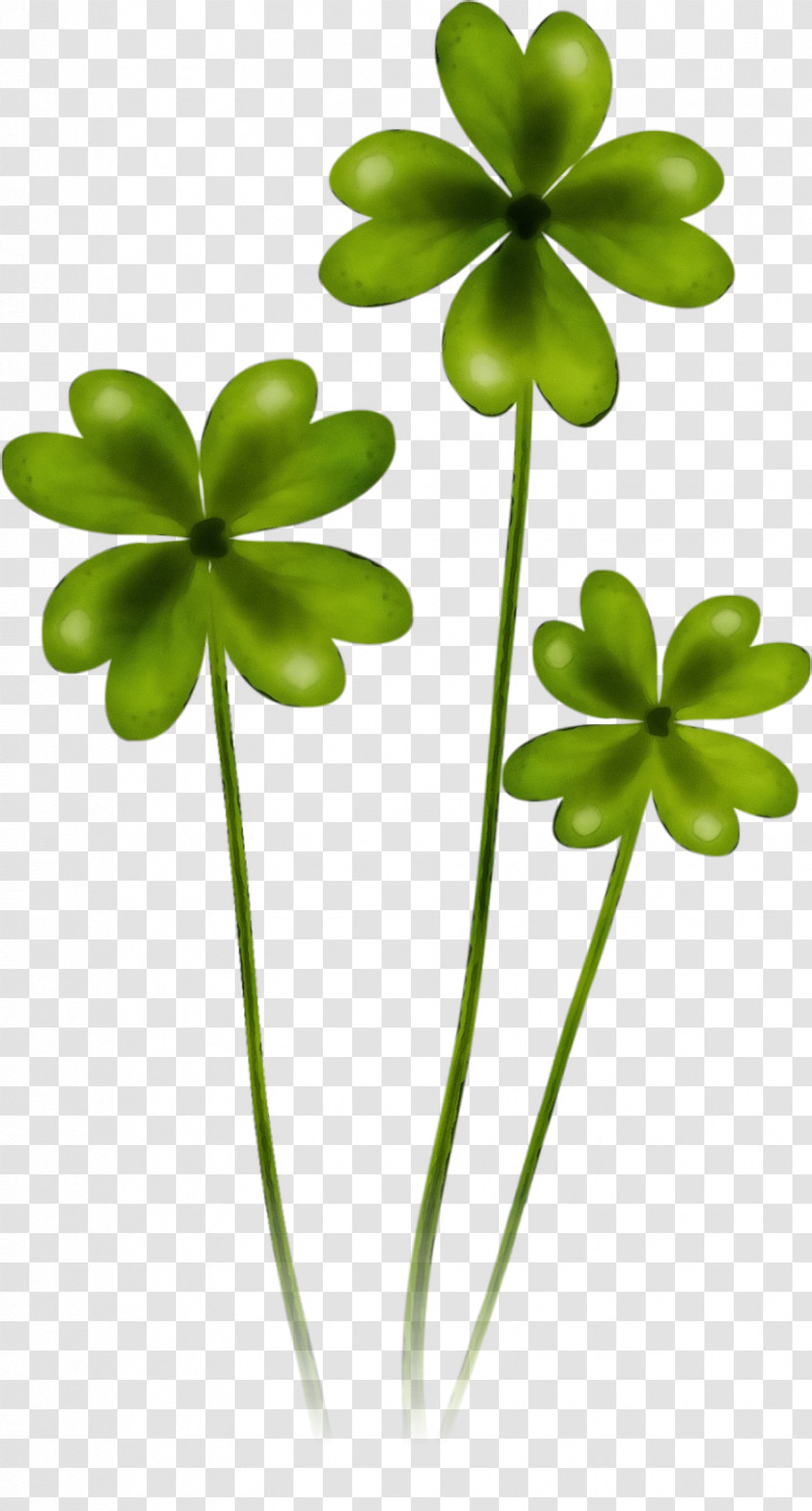 Leaf Green Flower Plant Clover Transparent PNG