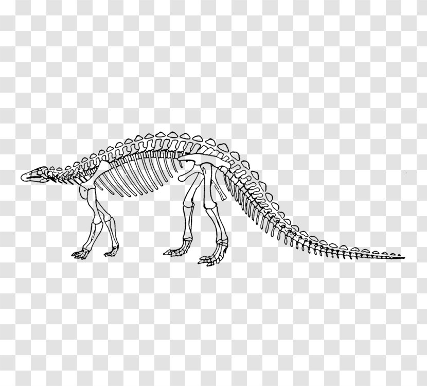Dinosaur King Scelidosaurus Skeleton - Monochrome Photography Transparent PNG