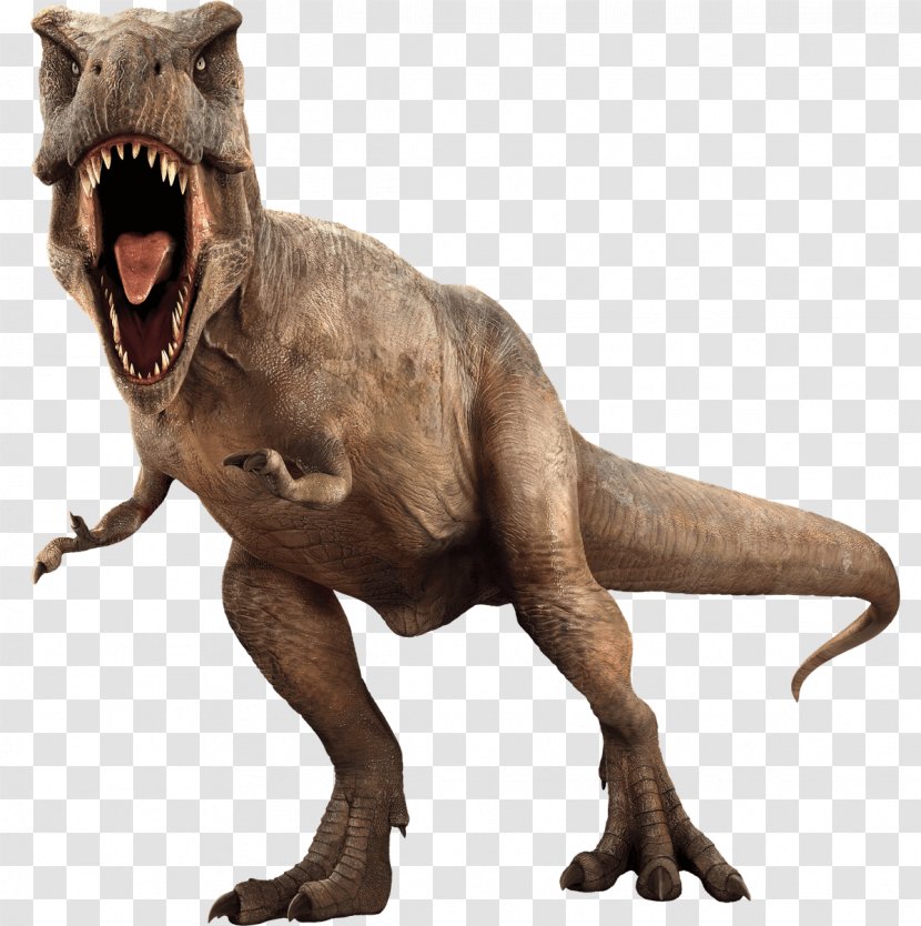 Jurassic World Evolution Velociraptor Fathead, LLC Tyrannosaurus Rex Mosasaurus - Indominus - Park Picture Transparent PNG