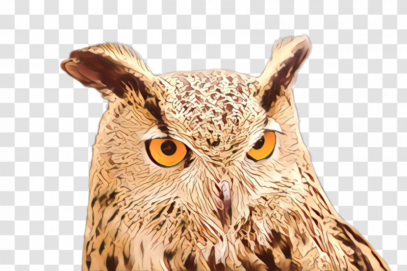 Owl Bird Of Prey Bird Eastern Screech Owl Screech Owl Transparent PNG