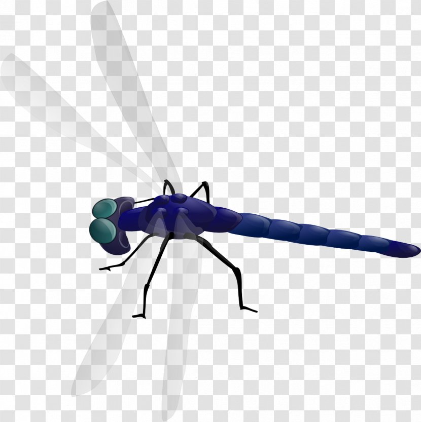 Dragonfly Drawing Clip Art - Blue - Flight Transparent PNG