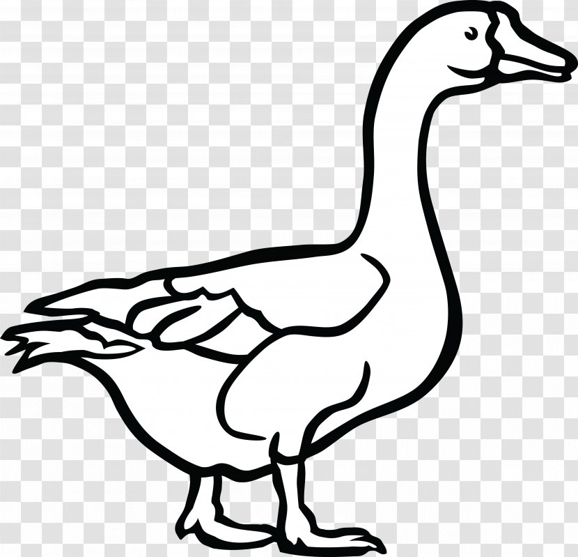 Canada Goose Duck Black And White Clip Art - Water Bird Transparent PNG