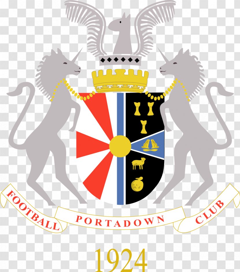 Portadown F.C. 2015–16 Irish Cup Cliftonville 2014–15 - Glenavon Fc - Football Transparent PNG