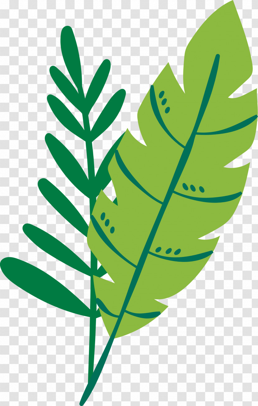 Leaf Plant Stem M-tree Line Tree Transparent PNG
