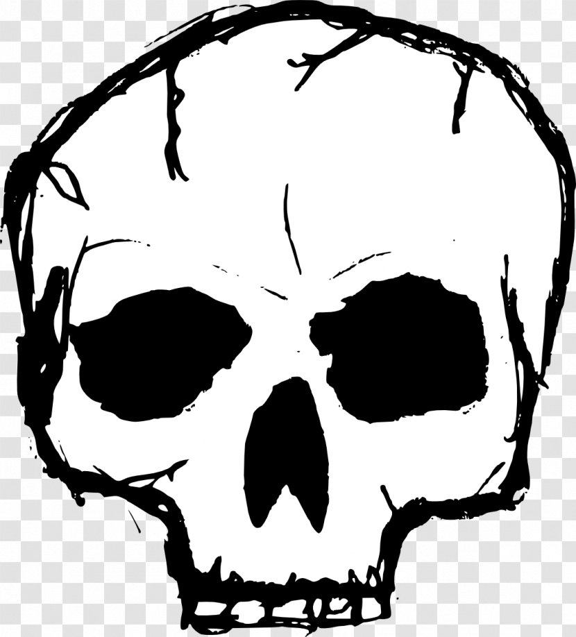 Skull Drawing Face Clip Art - Jaw Transparent PNG