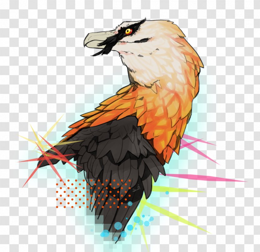 Bird Of Prey Bearded Vulture Parco Natura Viva - Secretarybird Transparent PNG