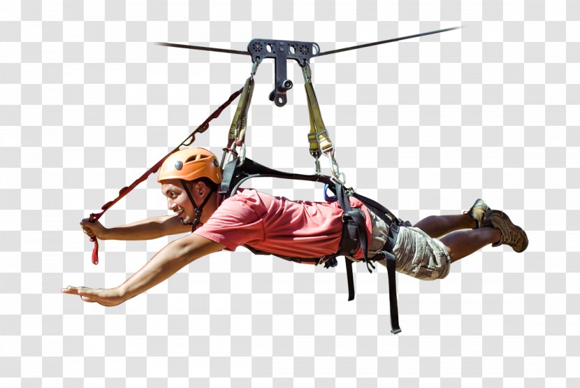 Zip-line Climbing Harnesses Koloa Aerobatics - Tree - Zipper Transparent PNG