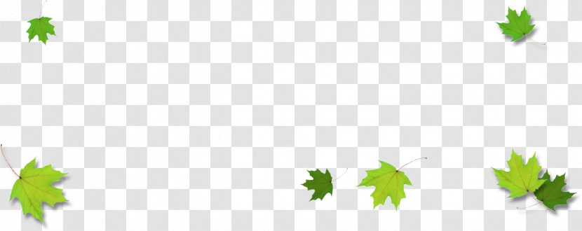 Autumn Leaf Color Clip Art - Tree - Border Transparent PNG