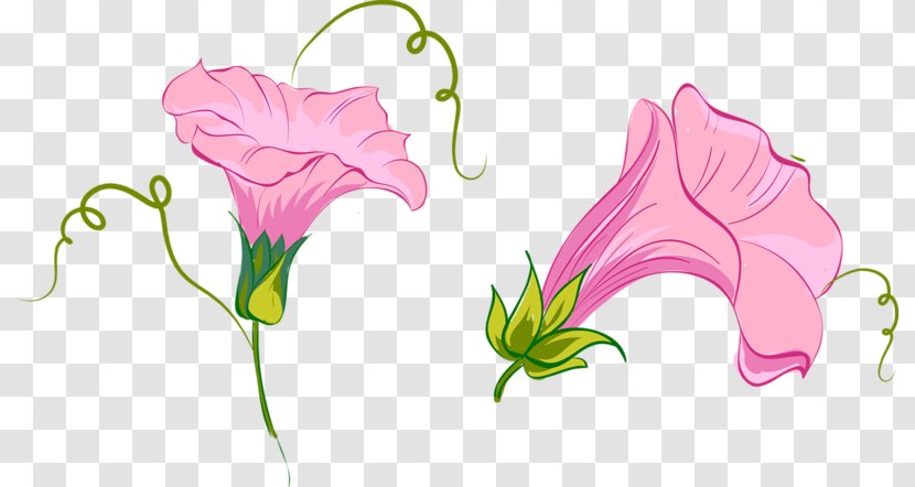 Moth Orchids Cut Flowers Floral Design - Rose Family - Leaf Transparent PNG