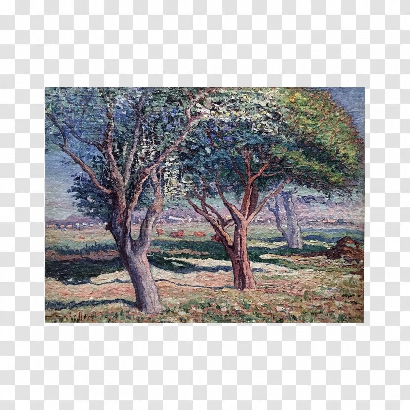 Savanna Shrubland Plant Community Painting Landscape - Trunk Transparent PNG