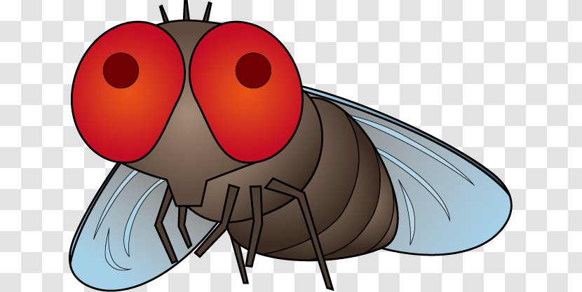 Fly Insect Mosquito Illustration Pest Control - Tree - Keep Dreaming Transparent PNG