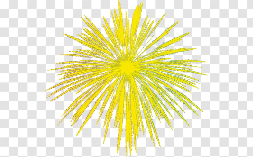 Mask Water Carnival Image Sky - Symmetry - Fireworks Cartoon Yellow Transparent PNG