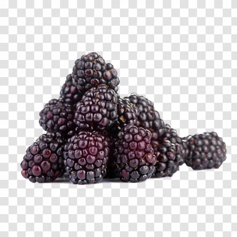 Boysenberry Red Raspberry Blackberry - Fruit - Blueberries Transparent PNG