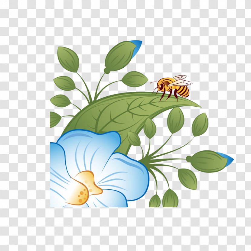 Honey Bee Flower Wallpaper - Flora - Flowers Transparent PNG