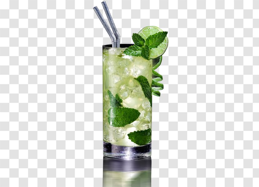 Mojito Cocktail Sea Breeze Gin And Tonic Rickey Transparent PNG