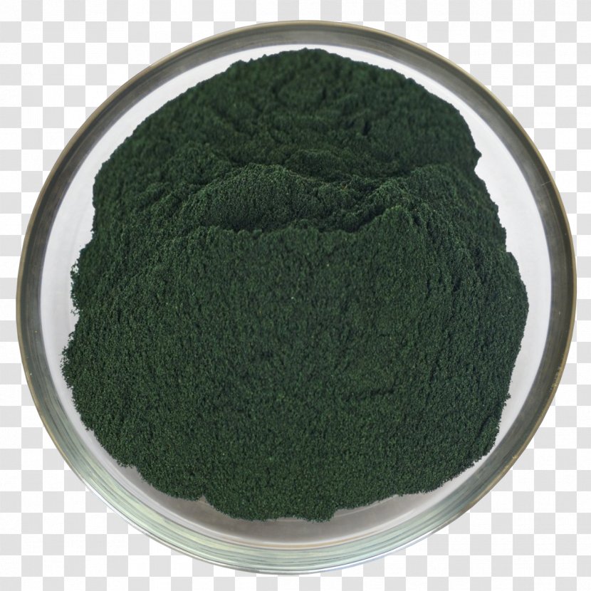 Food Powder Seaweed Flour Algae - Meal Transparent PNG