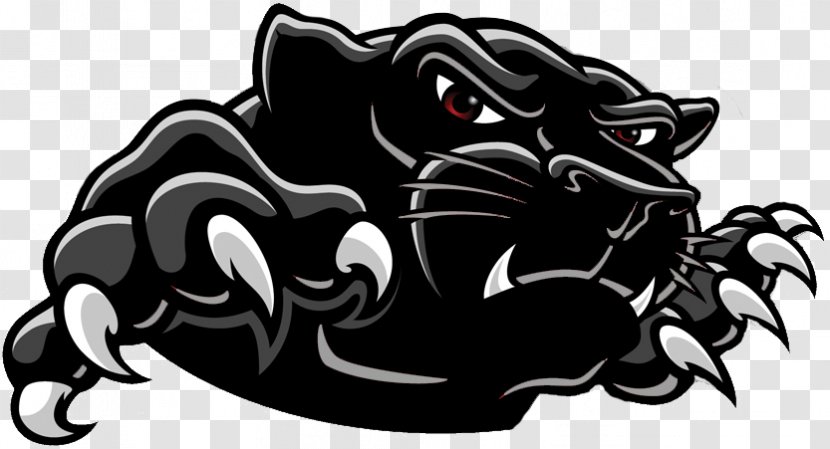 Clinch County High School Carolina Panthers Elementary Manchester - Coconino Transparent PNG