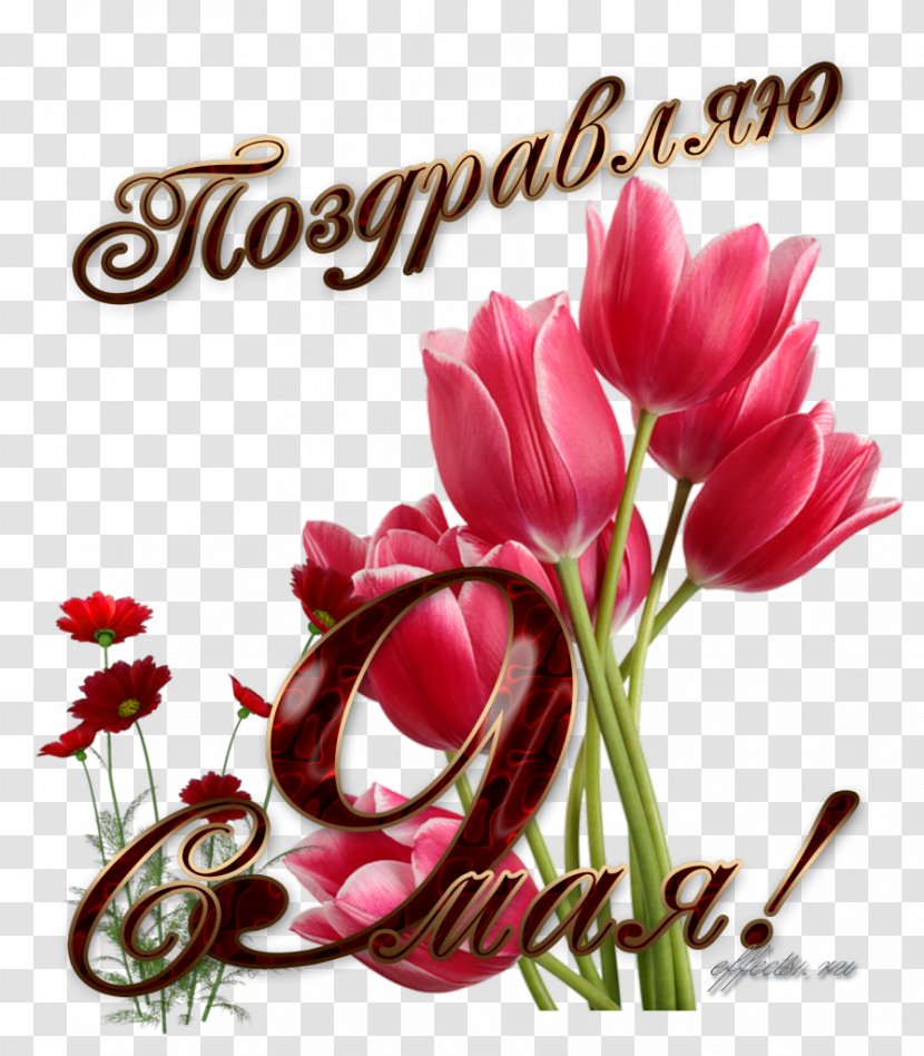 Tulip Flower Clip Art - Image File Formats Transparent PNG