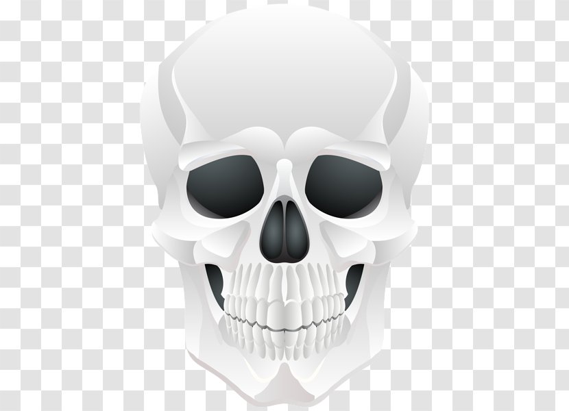 Skull Clip Art - Skeleton - King Transparent PNG