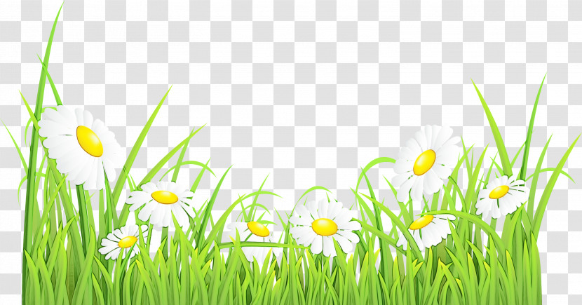 Nature Grass Meadow Natural Environment Plant Transparent PNG