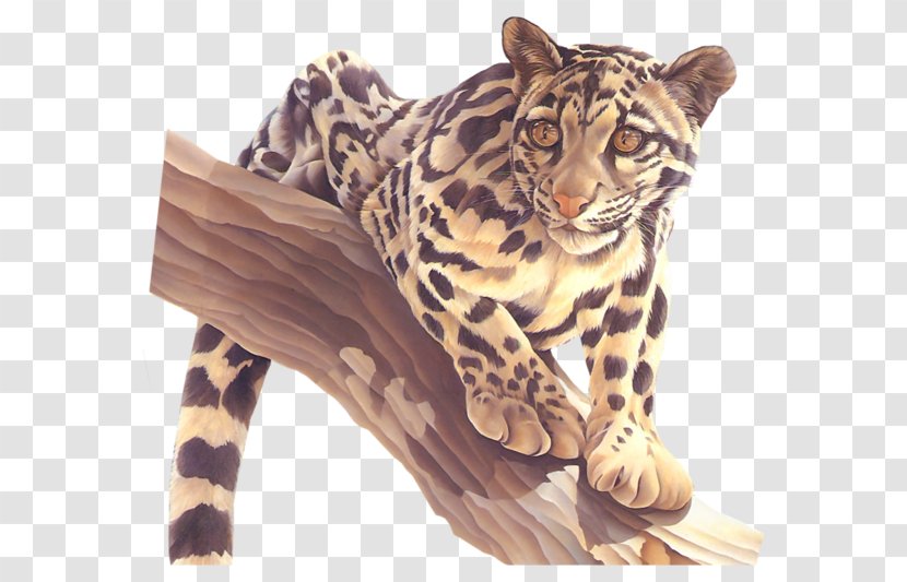 Leopard Tiger Cheetah Jaguar Ocelot Transparent PNG