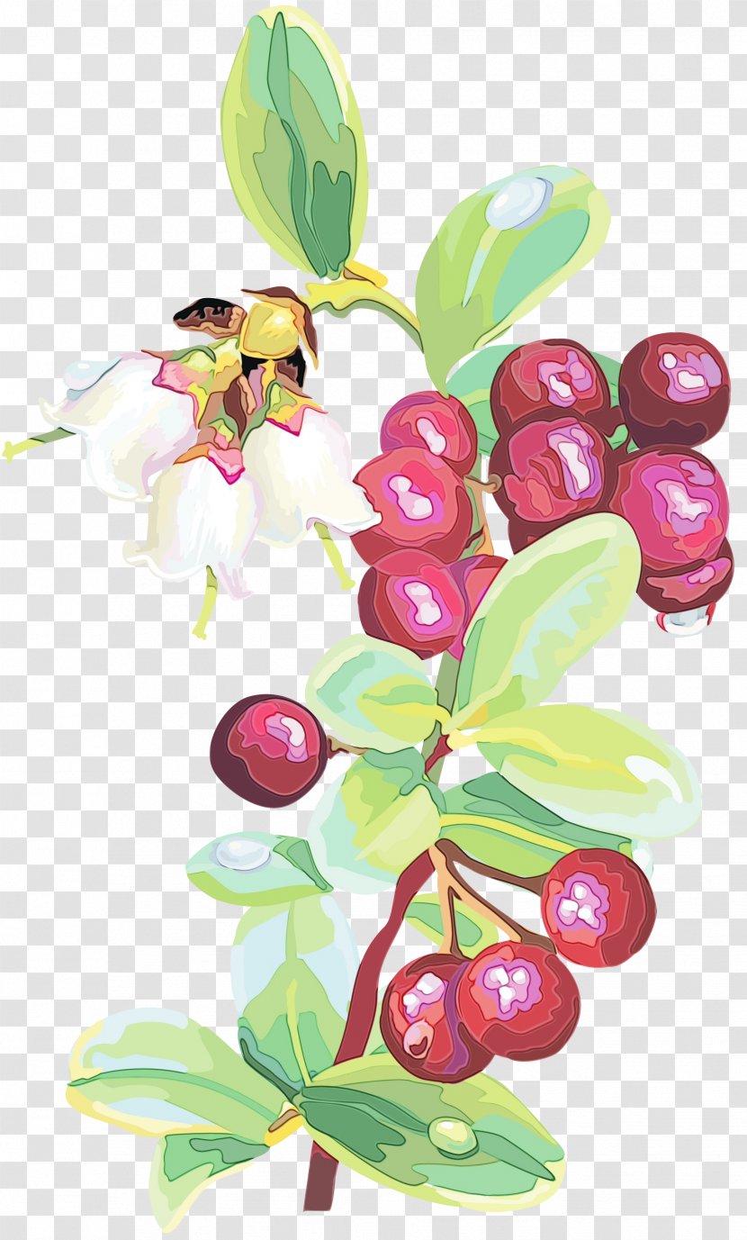 Flower Plant Flowering Lingonberry Berry - Branch Arctostaphylos Uvaursi Transparent PNG