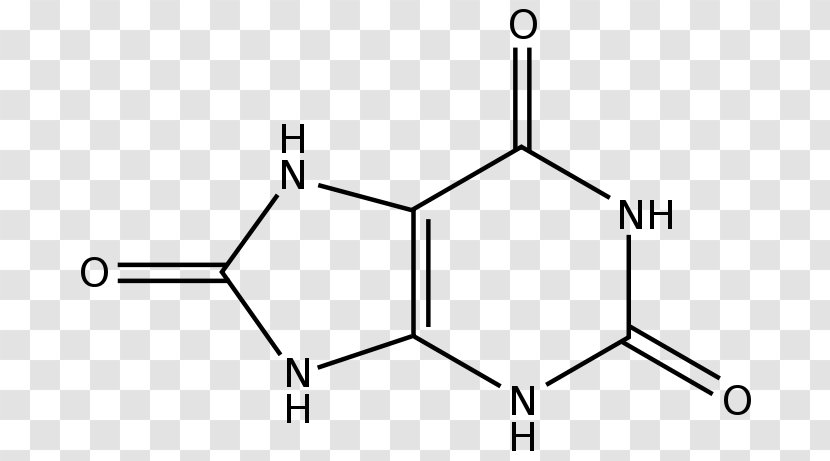 Uric Acid Urate Oxidase Purine Allantoin - Flower - Tree Transparent PNG