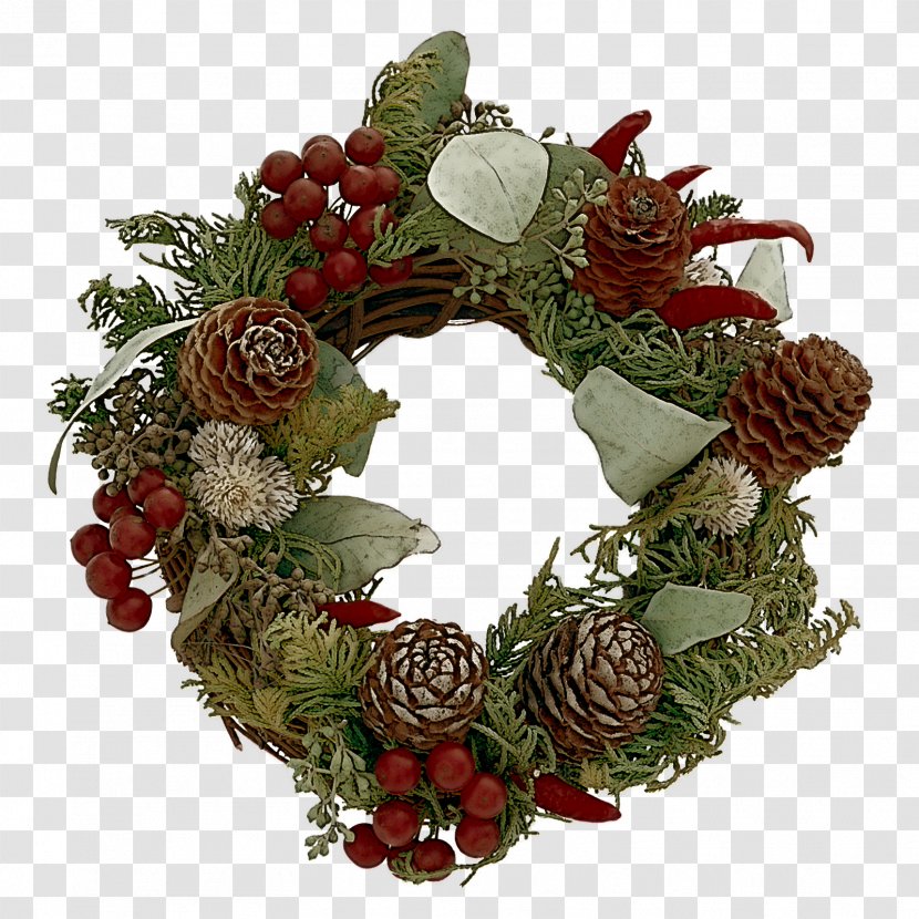 Christmas Decoration - Floristry - Floral Design Pine Family Transparent PNG