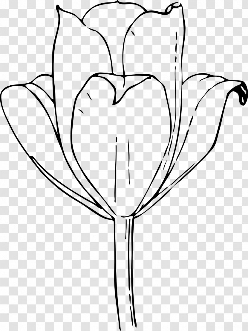 Tulip Flower Drawing Clip Art - Heart Transparent PNG