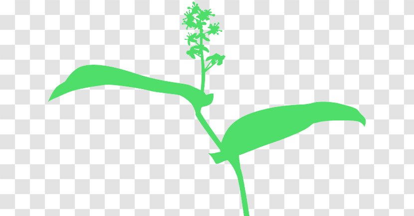 Green Leaf Plant Stem Flower - Logo Transparent PNG