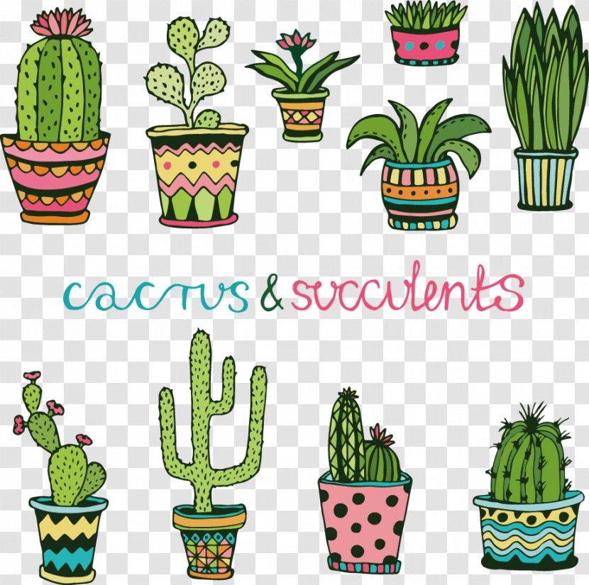 Cactaceae Succulent Plant Doodle Drawing - Vector Cartoon Cactus Transparent PNG