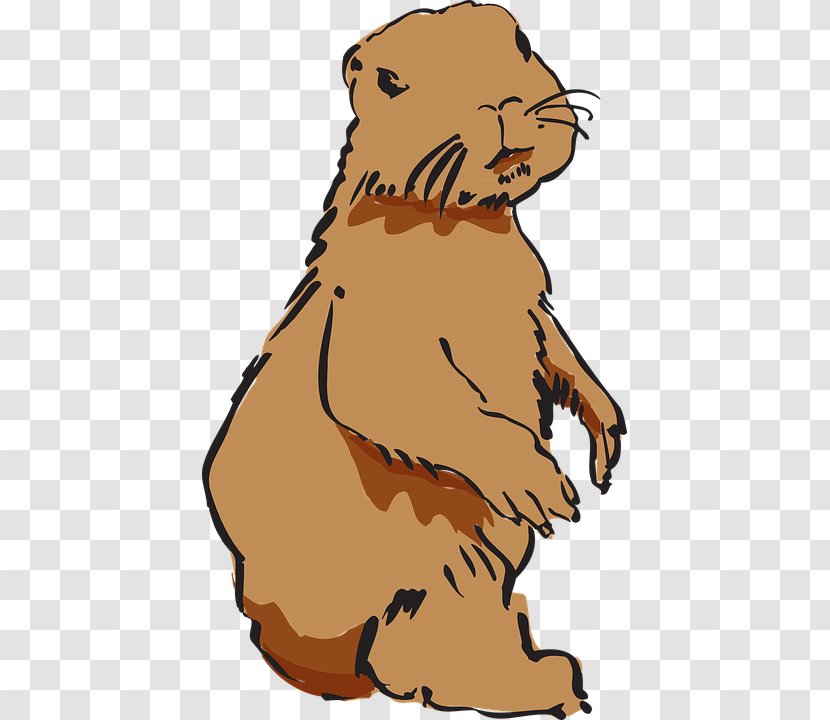 Beaver Fur Windows Metafile Clip Art Transparent PNG