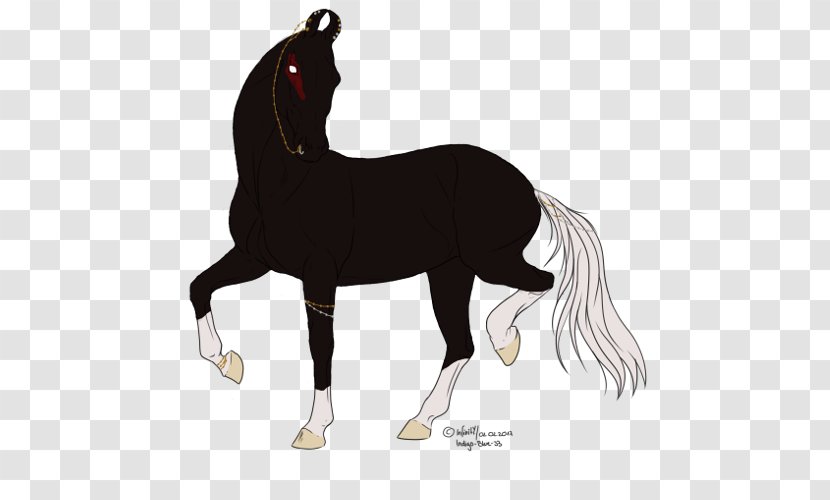 Mustang Stallion Foal Mare Colt - Yonni Meyer Transparent PNG