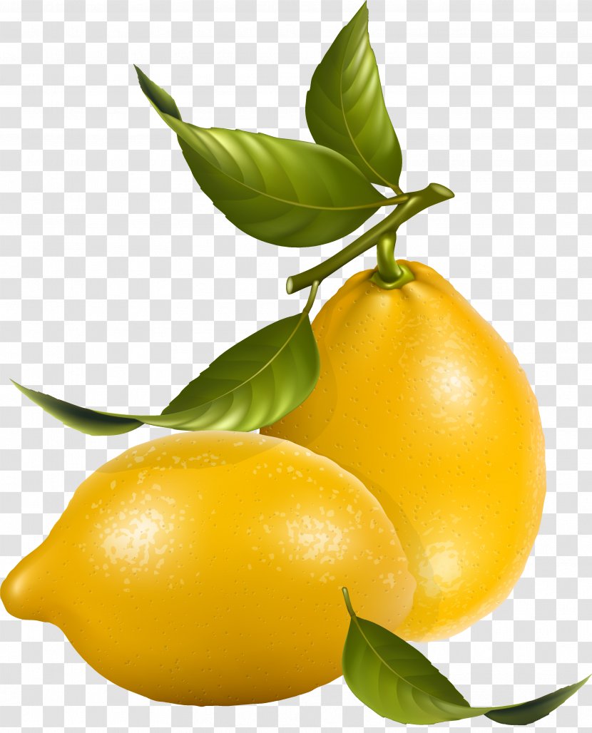 Lemon Tree - Natural Foods - Pear Vegetarian Food Transparent PNG