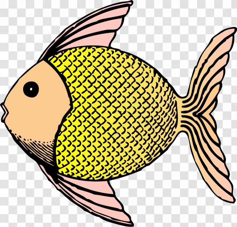Fish Drawing Clip Art - Scalable Vector Graphics - Gold Clipart Transparent PNG